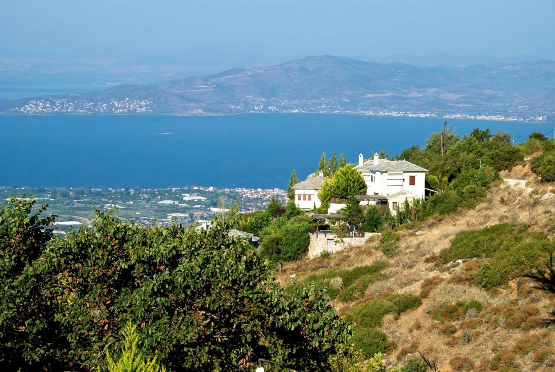Great Pelion Villa Villa Thalia Private Pool 3 Bedrooms Aghios Georgios Luaran gambar